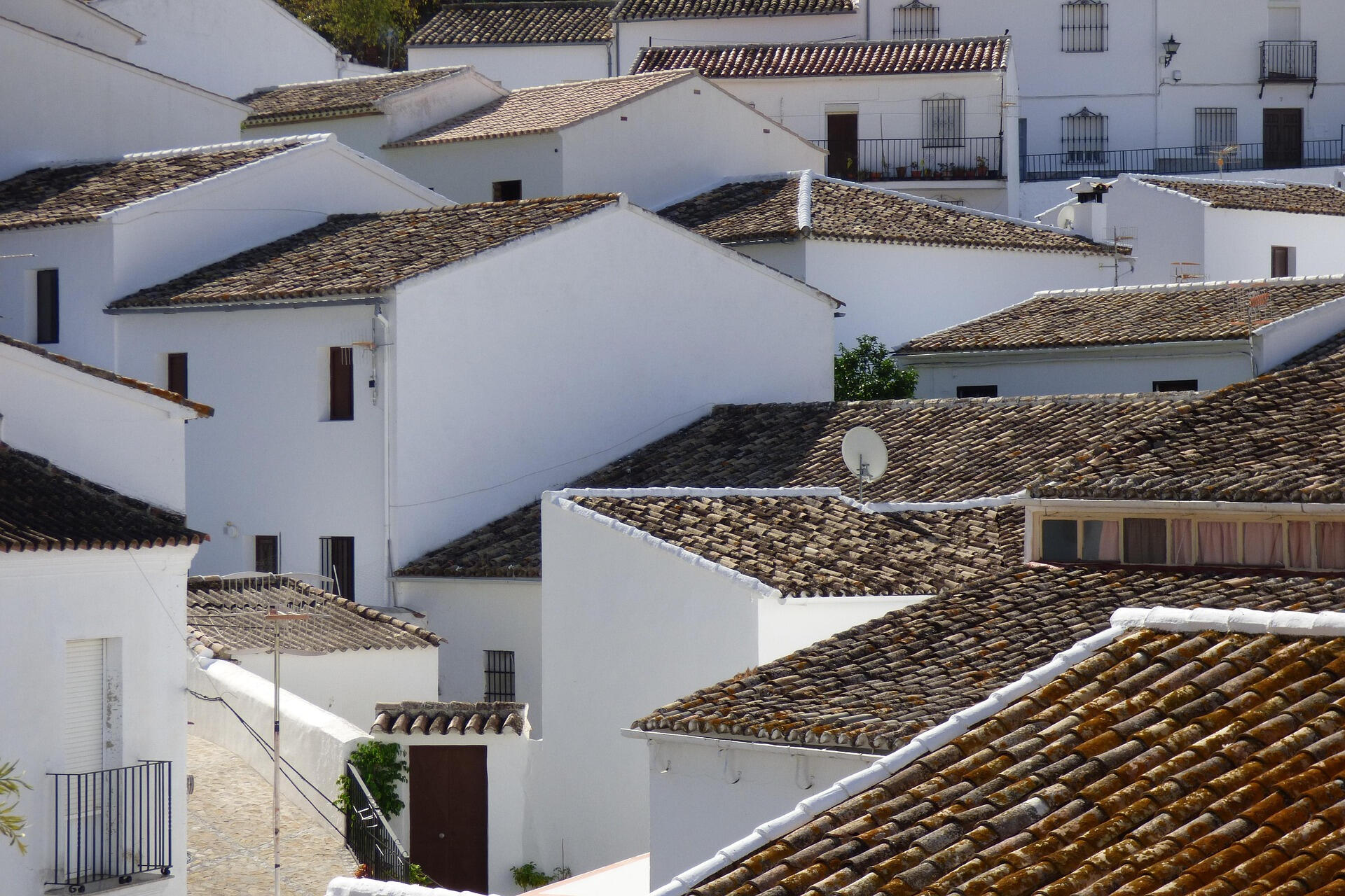- Parcelas y terrenos - Comerciales y viviendas - Edificaciones y conjuntos urbanísticos